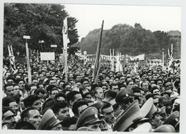 Colección Remo José Vassia