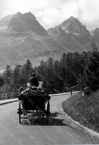 Original Document numérique not accessible