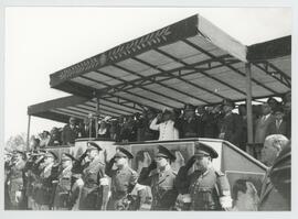 Colección Remo José Vassia