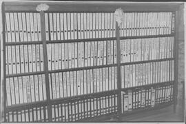 Colección Ana Macri