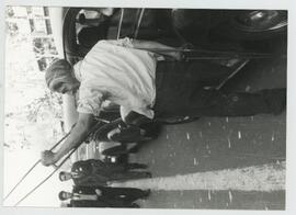 Colección Remo José Vassia