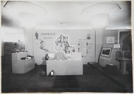 1° Exposición Argentina de Minería e Industrias Afines