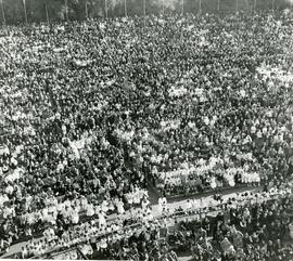 Colección Pastora de Jorge