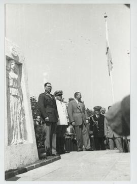 Colección Remo José Vassia