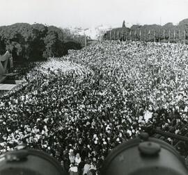 Colección Pastora de Jorge