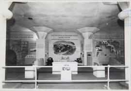 1° Exposición Argentina de Minería e Industrias Afines