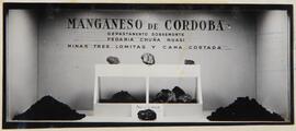 1° Exposición Argentina de Minería e Industrias Afines