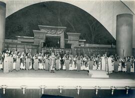 Colección Pastora de Jorge