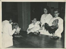 Colección Escuela Santa Cecilia
