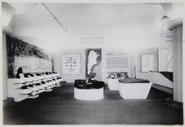1° Exposición Argentina de Minería e Industrias Afines