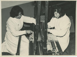 Colección Escuela Santa Cecilia