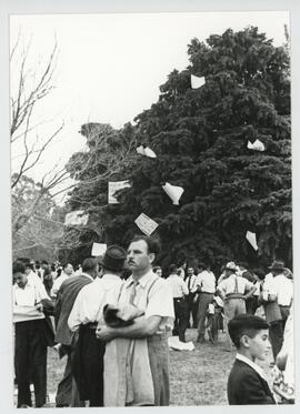 Colección Remo José Vassia
