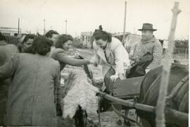 Colección Ana Macri