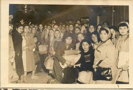 Colección Hilda Castañeira