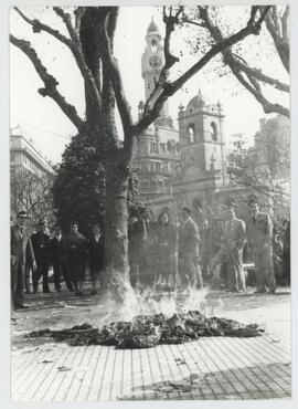Colección Remo José Vassia