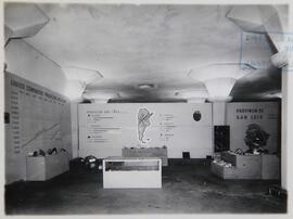 1° Exposición Argentina de Minería e Industrias Afines