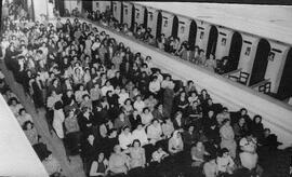 Colección Ana Macri