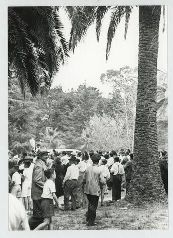 Original Objeto digital not accessible