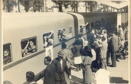 Colección Hilda Castañeira