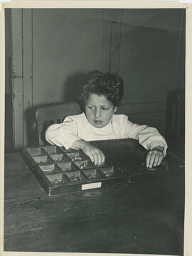 Colección Escuela Santa Cecilia
