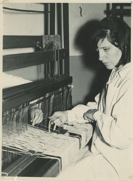 Colección Escuela Santa Cecilia