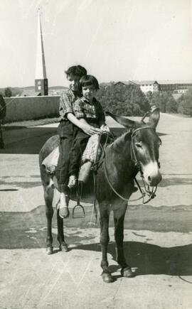 Colección Gaffuri Veloso