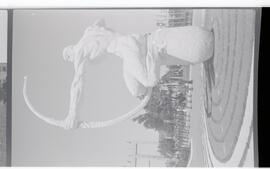 Colección Remo José Vassia