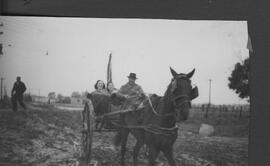 Colección Ana Macri