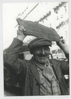 Colección Remo José Vassia