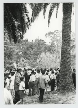 Colección Remo José Vassia