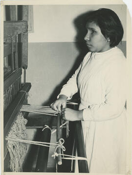 Colección Escuela Santa Cecilia
