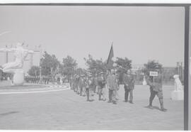 Colección Remo José Vassia