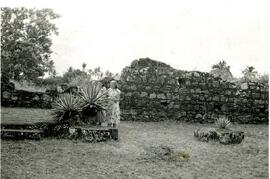 Colección María Eugenia Álvarez