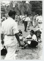 Colección Remo José Vassia