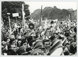 Colección Remo José Vassia