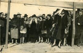 Colección Pastora de Jorge