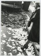 Colección Remo José Vassia