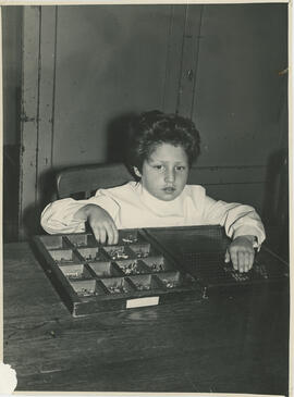 Colección Escuela Santa Cecilia